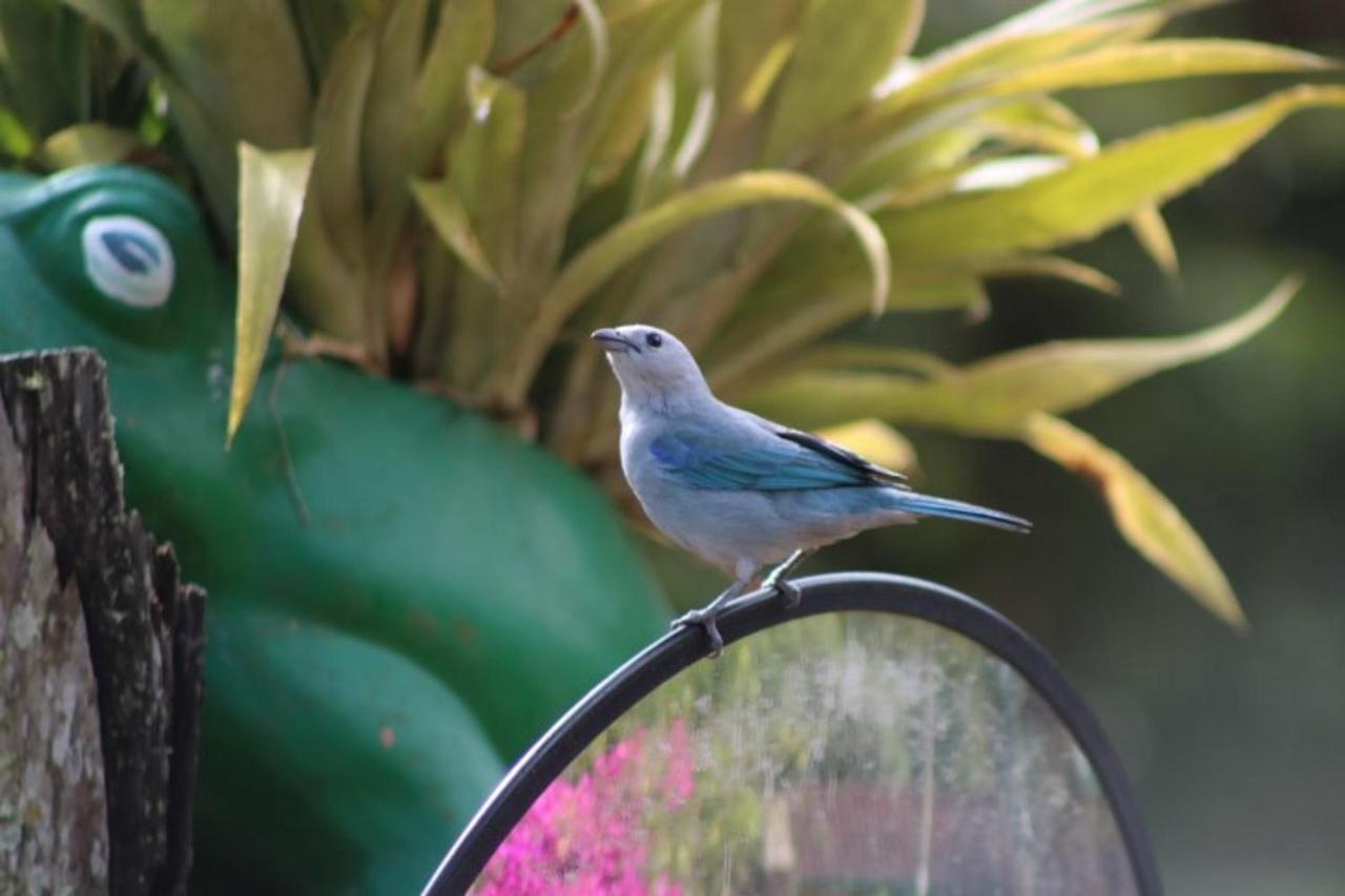 Kantarrana Casa De Campo Jardin Luaran gambar