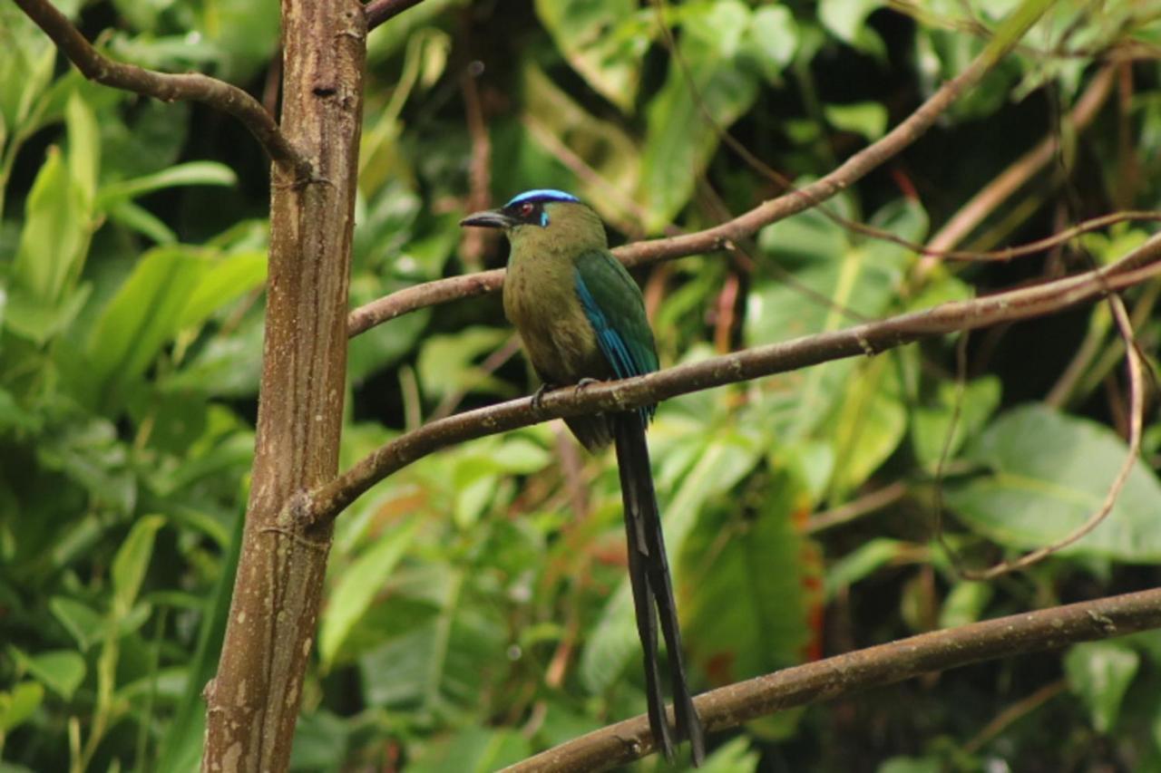Kantarrana Casa De Campo Jardin Luaran gambar