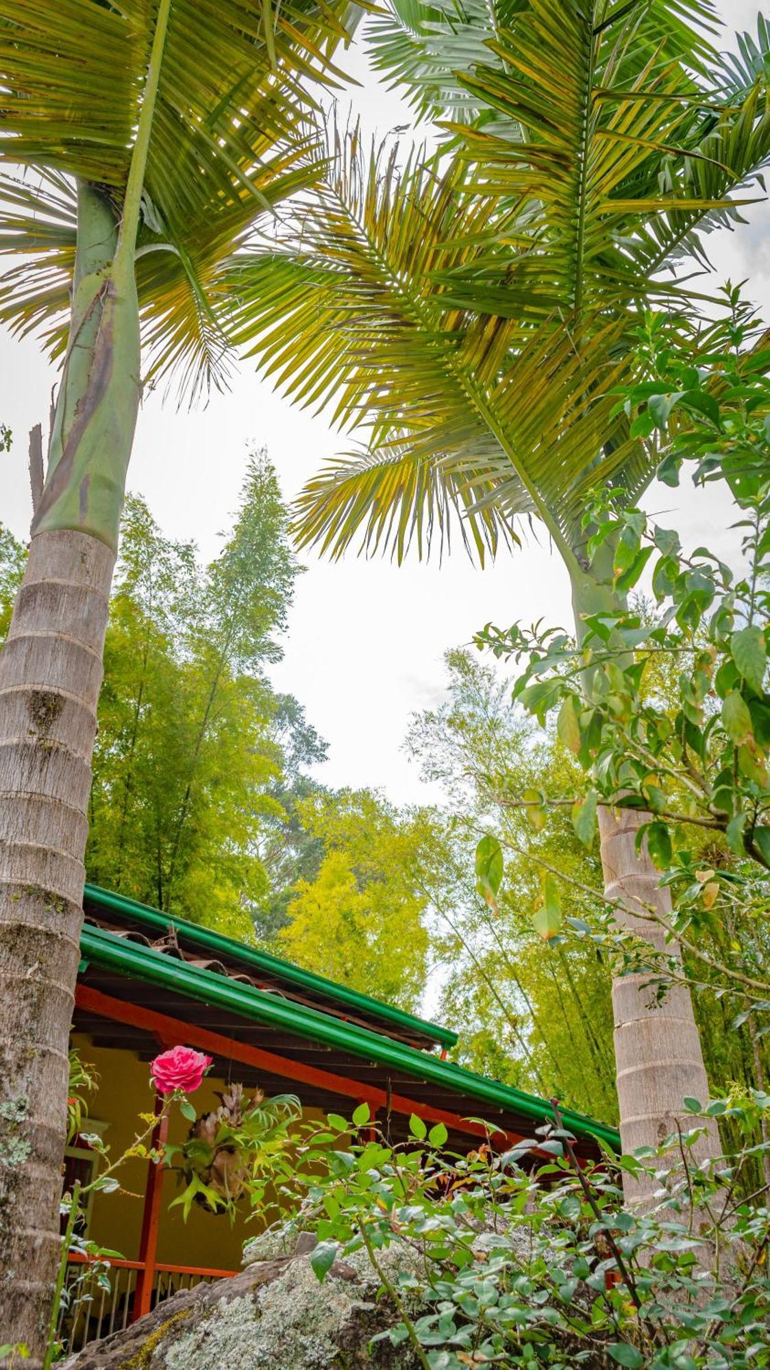 Kantarrana Casa De Campo Jardin Luaran gambar