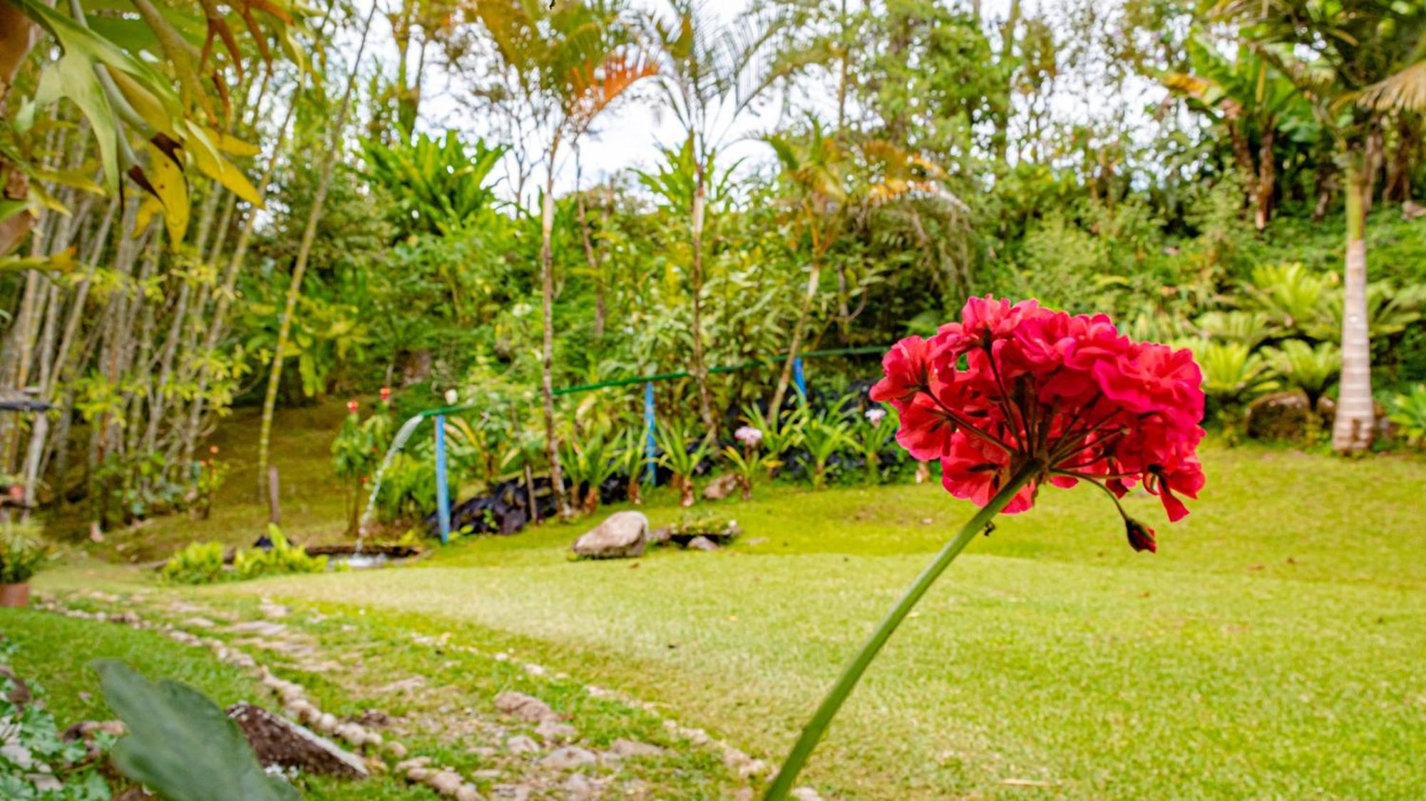 Kantarrana Casa De Campo Jardin Luaran gambar